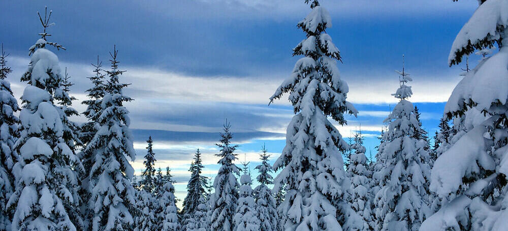 Skitur på Ringkollen