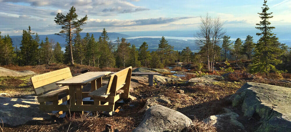 Walks in the countryside - Ringkollen